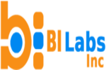 BI Labs